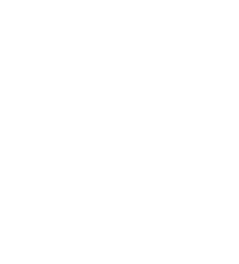 King fox Logo