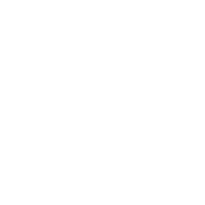 Wynwood Brewing Logo